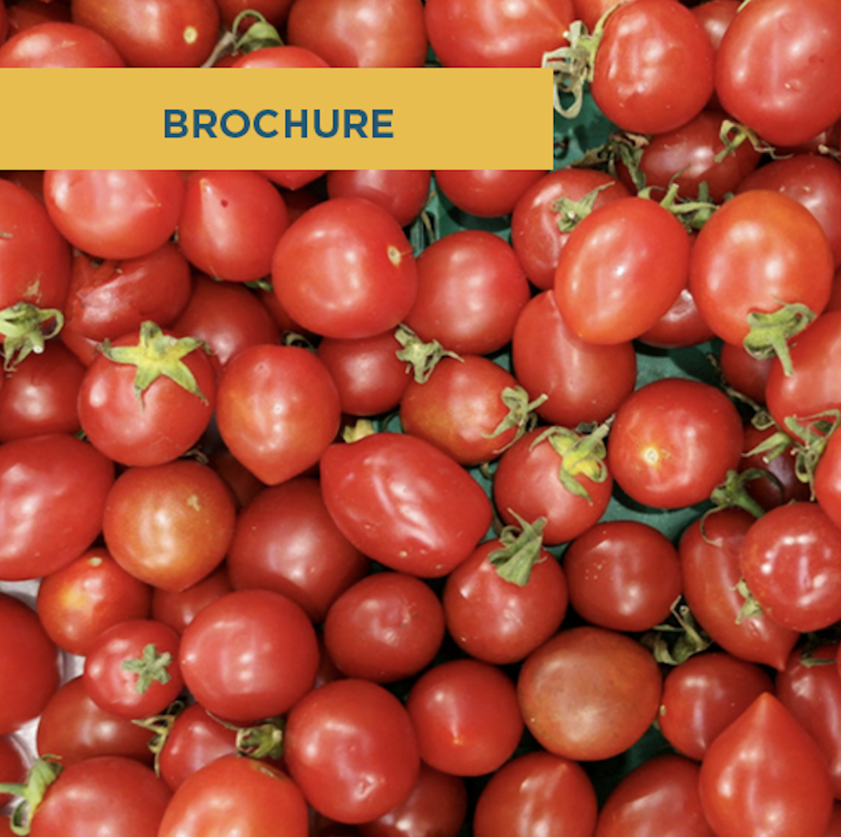 Featured image for “ARANCELES EN LA AGRICULTURA”